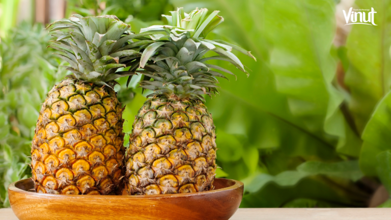 JOJONAVI_Boost Immunity with Pineapple: The Science Behind It​